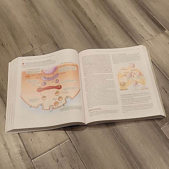 MICRO BIOLOGY learning book - Picture 2 of 3